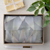 Agave Sukkulente Pflanze Cactus Green Salbei Seidenpapier (Geschenk)