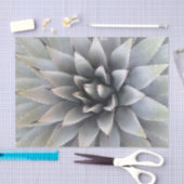 Agave Sukkulente Pflanze Cactus Green Salbei Seidenpapier (Handwerk)