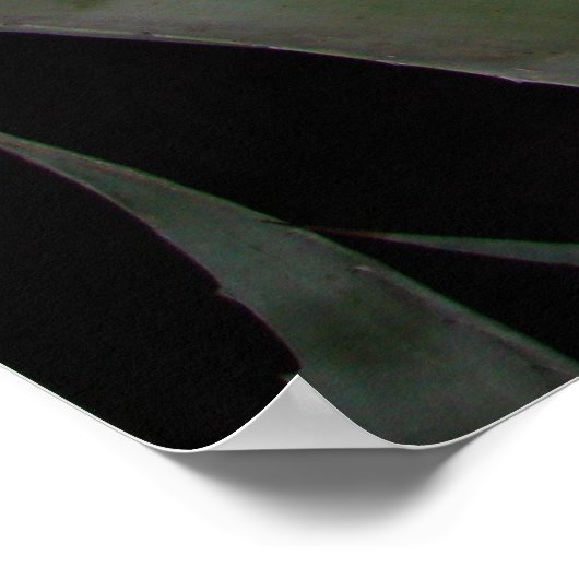 Agave Sunset Poster (Ecke)