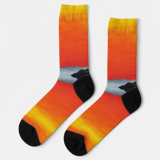 Agave Sunset Socken (Linkes Detail)