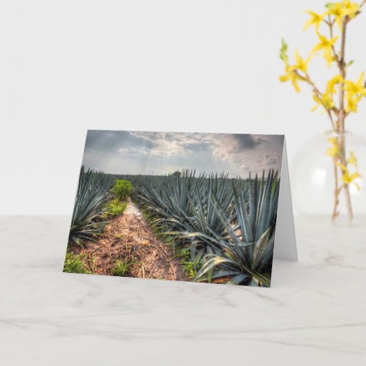 Agave Tequilana Karte (Gelbe Blume)