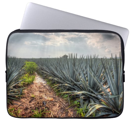 Agave Tequilana Laptopschutzhülle (Vorderseite)