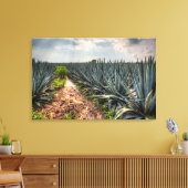 Agave Tequilana Leinwanddruck (Insitu (Wohnzimmer))