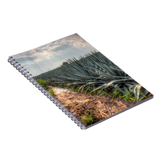 Agave Tequilana Notizblock (Rechte Seite)