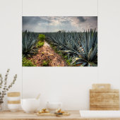 Agave Tequilana Poster (Küche)