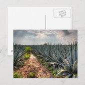 Agave Tequilana Postkarte (Vorne/Hinten)