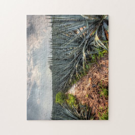 Agave Tequilana Puzzle (Vertikal)