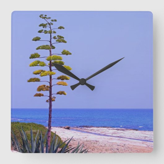 Agave Tree - Quadratische Wanduhr (Vorderseite)