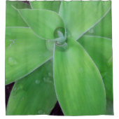Agave und Raindrops Duschvorhang (Vorderseite)