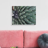 Agave Victoria Pflanze Foto Wrapped Canvas Print Leinwanddruck (Insitu (Wohnzimmer))