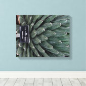 Agave Victoria Pflanze Foto Wrapped Canvas Print Leinwanddruck (Insitu (Holzboden))