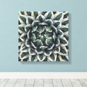 Agave victoria reginae Foto von Debra Lee Baldwin Leinwanddruck (Insitu (Holzboden))