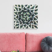 Agave victoria reginae Foto von Debra Lee Baldwin Leinwanddruck (Insitu (Wohnzimmer))