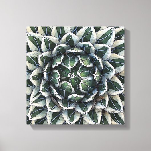 Agave victoria reginae Foto von Debra Lee Baldwin Leinwanddruck (Vorderseite)