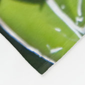 Agave Victoria Succulent Fleecedecke (Ecke)