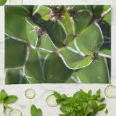 Agave Victoria Succulent Geschirrtuch (Gefaltet)