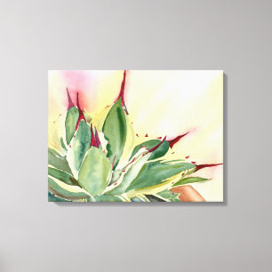 Agave Watercolor von Debra Lee Baldwin Leinwanddruck
