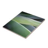 Agaven-Blätter Fliese (Seite)