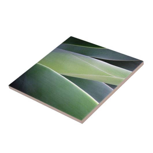 Agaven-Blätter Fliese (Seite)