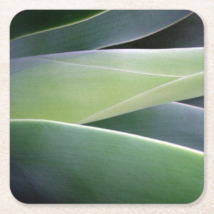 Agaven-Blätter Rechteckiger Pappuntersetzer