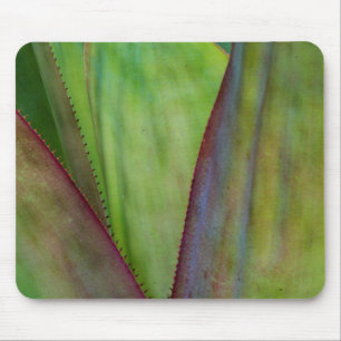 Agaven-Pflanzendetail Mousepad
