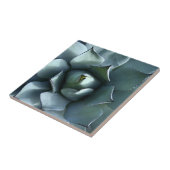 Agavenblau Fliese (Seite)