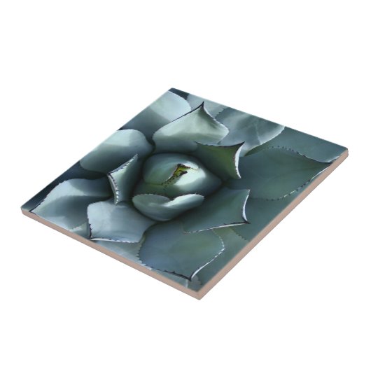 Agavenblau Fliese (Seite)