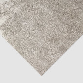 Agen Seidenpapier (Ausschnitt)