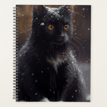 Agendas Black