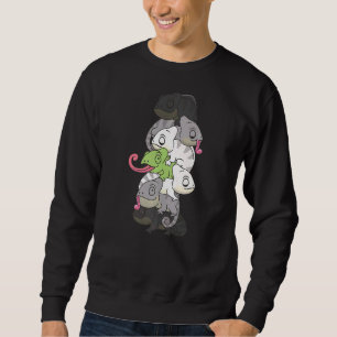 Agende Flag Gender Pride Lgbtq Chameleon Sweatshirt