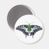 Agender Flag Swallowtail Butterfly Magnet (Vorderseite/Rückseite)