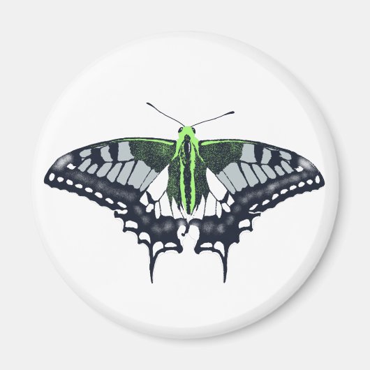 Agender Flag Swallowtail Butterfly Magnet (Vorne)