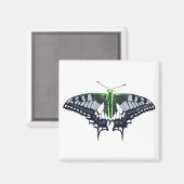 Agender Flag Swallowtail Butterfly Magnet (Vorderseite/Rückseite)