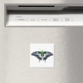 Agender Flag Swallowtail Butterfly Magnet (In Situ (Geschirrspüler))