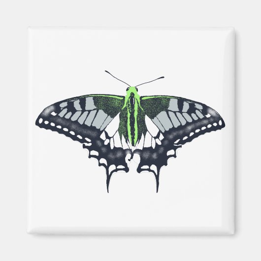 Agender Flag Swallowtail Butterfly Magnet (Vorne)