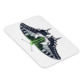 Agender Flag Swallowtail Butterfly Magnet (Rechte Seite)
