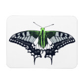 Agender Flag Swallowtail Butterfly Magnet (Horizontal)