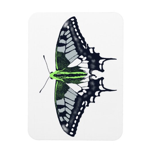 Agender Flag Swallowtail Butterfly Magnet (Vertikal)