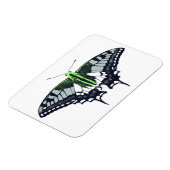 Agender Flag Swallowtail Butterfly Magnet (Linke Seite)