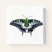 Agender Flag Swallowtail Butterfly Notizblock (Rückseite)