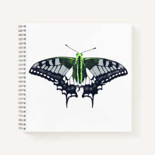 Agender Flag Swallowtail Butterfly Notizblock