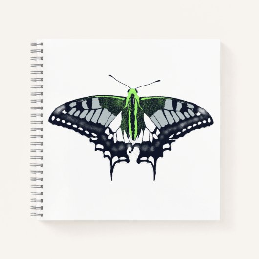 Agender Flag Swallowtail Butterfly Notizblock (Vorderseite)