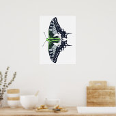Agender Flag Swallowtail Butterfly Poster (Küche)