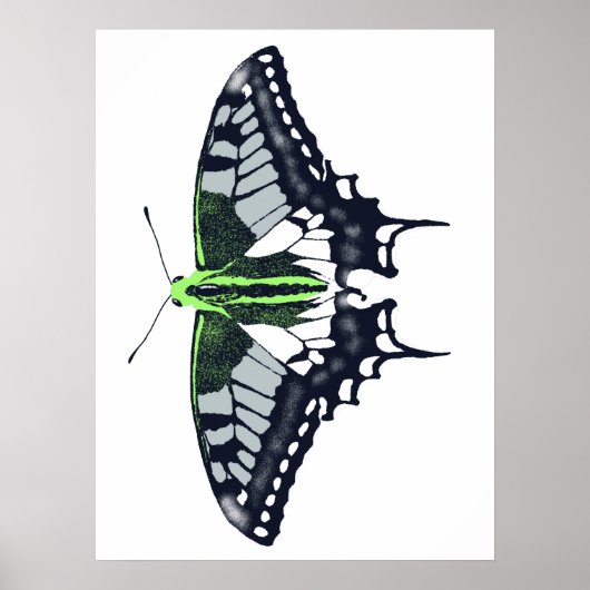 Agender Flag Swallowtail Butterfly Poster (Vorne)
