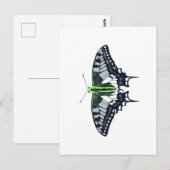 Agender Flag Swallowtail Butterfly Postkarte (Vorne/Hinten)