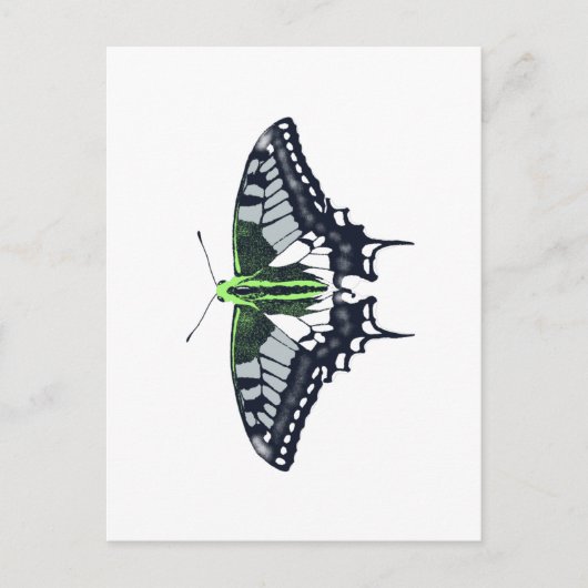 Agender Flag Swallowtail Butterfly Postkarte (Vorderseite)