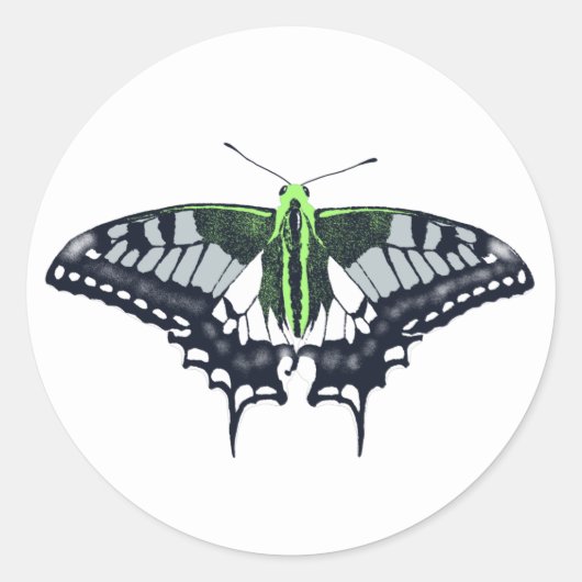 Agender Flag Swallowtail Butterfly Runder Aufkleber (Vorderseite)