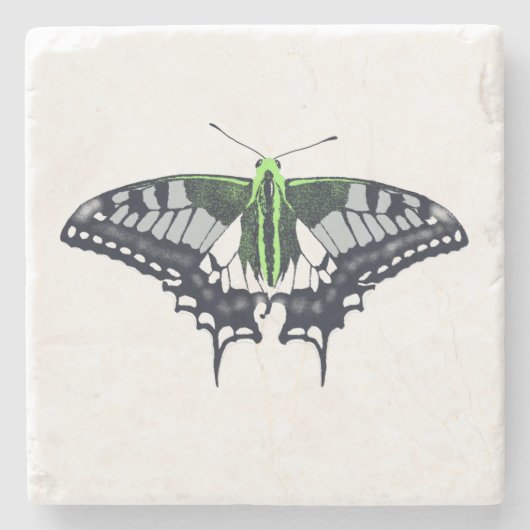 Agender Flag Swallowtail Butterfly Steinuntersetzer (Vorderseite)