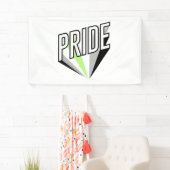 Agender Pride Burst Banner (Insitu)