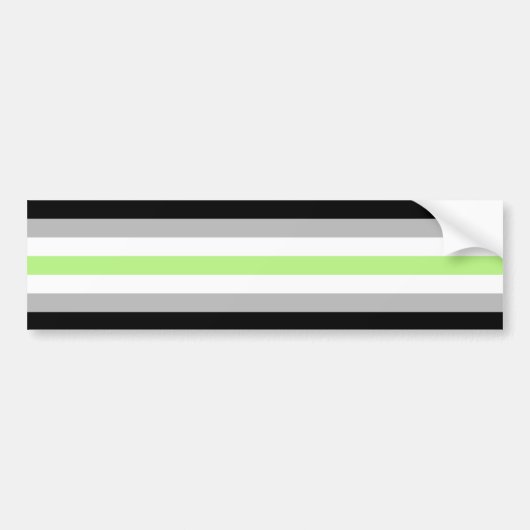 Agender Pride Flag Autoaufkleber (Vorne)